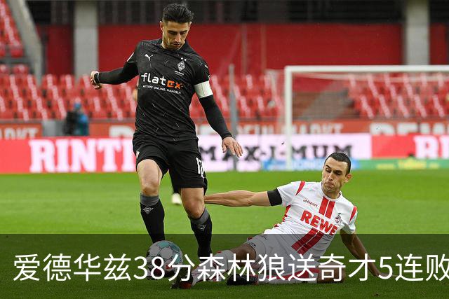 爱德华兹38分森林狼送奇才5连败 活塞力克黄蜂